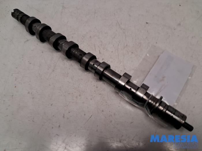 Usagé Arbre à cames Renault Clio III (BR/CR) 1.4 16V Prix € 50,00 Règlement à la marge proposé par Maresia Parts