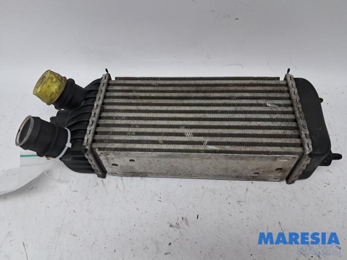 Usagé Intercooler Peugeot Expert (G9) 1.6 HDi 90 Prix € 60,49 Prix TTC proposé par Maresia Parts