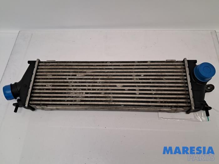 Usados Intercooler Renault Trafic New (FL) 2.0 dCi 16V 115 Precio € 36,30 IVA incluido ofrecido por Maresia Parts