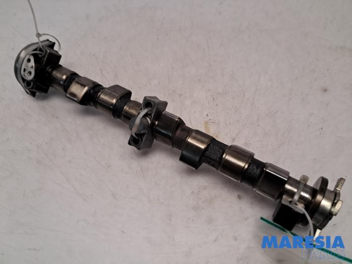 Usagé Arbre à cames Fiat 500 (312) 1.2 Prix € 89,99 Règlement à la marge proposé par Maresia Parts