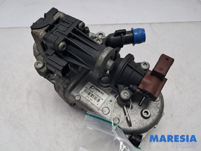 Usagé Valve RGE Fiat Doblo Cargo (263) 1.3 D Multijet Prix € 60,49 Prix TTC proposé par Maresia Parts