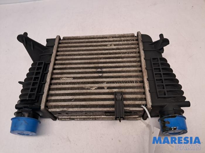 Gebrauchte Ladeluftkühler Renault Clio III Estate/Grandtour (KR) 1.2 16V TCE 100 Preis € 50,00 Margenregelung angeboten von Maresia Parts