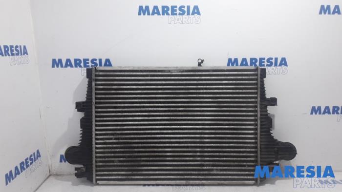 Usagé Intercooler Alfa Romeo Brera (939) 2.4 JTDM 20V Prix € 45,00 Règlement à la marge proposé par Maresia Parts