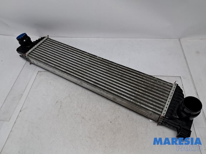 Used Intercooler Renault Master III (MA/MB/MC/MD/MH/MF/MG/MH) 2.3 dCi 135 16V FWD Price € 121,00 Inclusive VAT offered by Maresia Parts