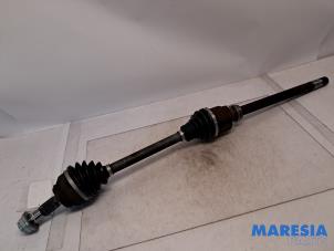 Usados Eje de transmisión derecha delante Fiat Ducato (250) 2.3 D 130 Multijet Precio € 242,00 IVA incluido ofrecido por Maresia Parts