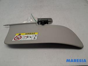 Paire De Pare-soleil Gauche + Droite Gris Plastique OEM Pour Citroën C3 II (2009-2016) – Ref 1613251480