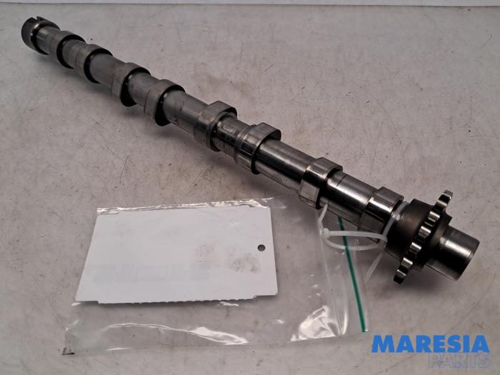 Usagé Arbre à cames Peugeot Expert (V1/VA/VB/VE/VF/VT/VY) 2.0 Blue HDi 120 16V Prix € 151,25 Prix TTC proposé par Maresia Parts
