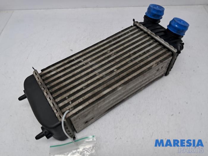 Usagé Intercooler Peugeot Expert (G9) 1.6 HDi 90 Prix € 48,34 Prix TTC proposé par Maresia Parts