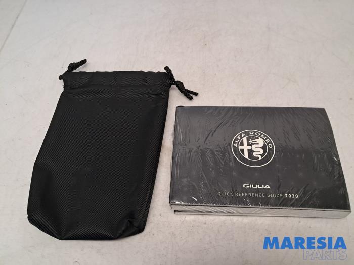 Używane Instrukcja Alfa Romeo Giulia (952) 2.0 T 16V Veloce Cena € 49,99 Procedura marży oferowane przez Maresia Parts