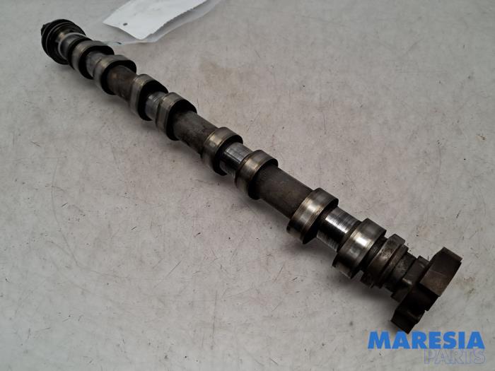 Usagé Arbre à cames Peugeot 3008 I (0U/HU) 1.6 VTI 16V Prix € 99,00 Règlement à la marge proposé par Maresia Parts