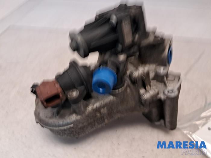 Usagé Valve RGE Fiat Doblo Cargo (263) 1.3 MJ 16V DPF Euro 5 Prix € 60,49 Prix TTC proposé par Maresia Parts