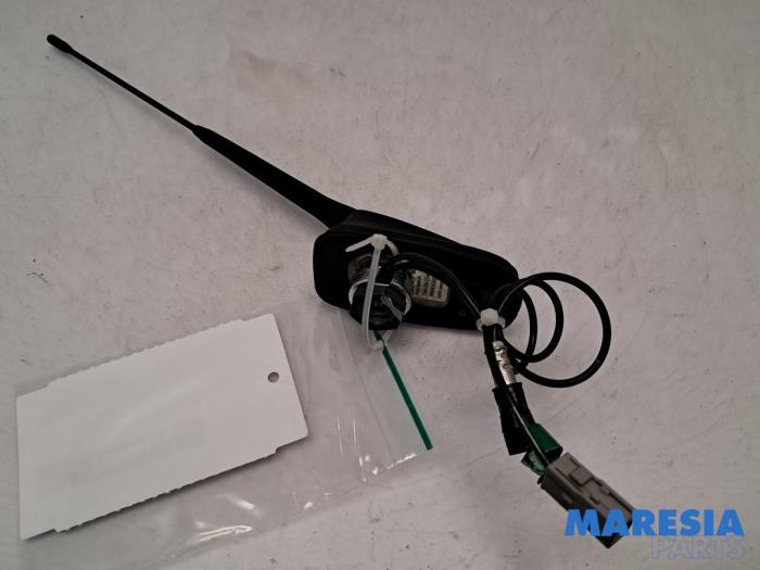 Używane Antena Citroen Jumpy (G9) 1.6 HDI 16V Cena € 24,20 Z VAT oferowane przez Maresia Parts