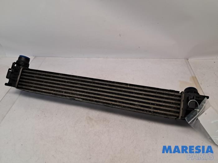 Usagé Intercooler Renault Grand Scénic III (JZ) 1.4 16V TCe 130 Prix € 30,00 Règlement à la marge proposé par Maresia Parts