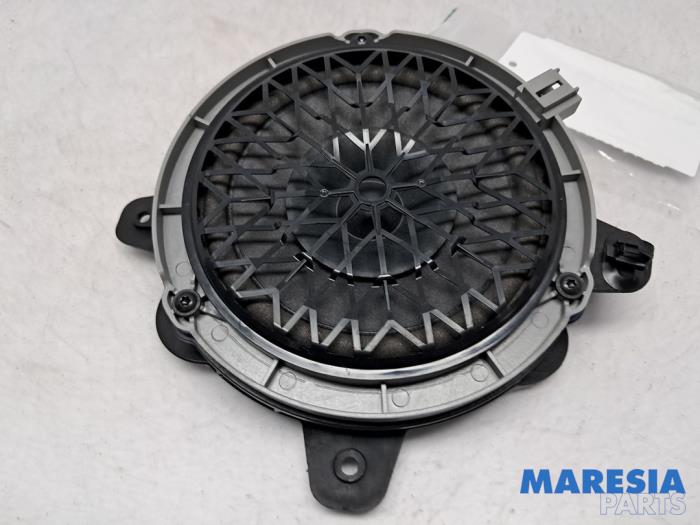 Rear door speaker