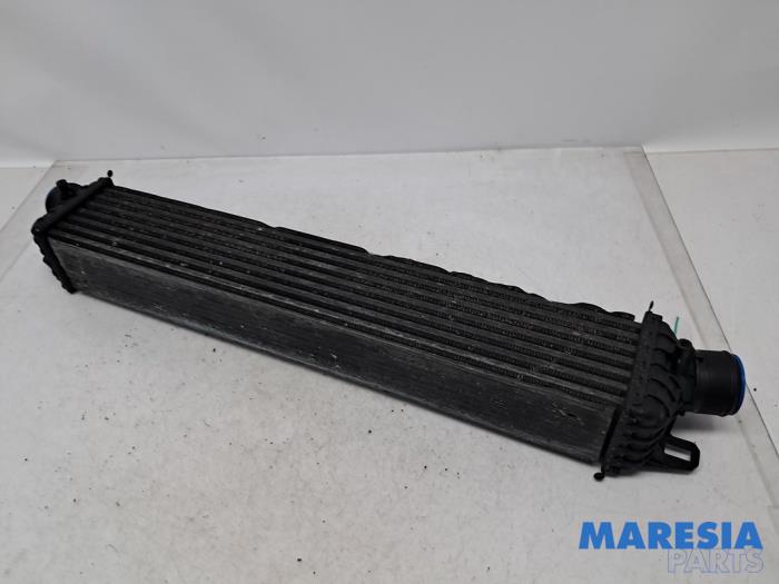 Usados Intercooler Alfa Romeo Giulietta (940) 1.75 TBI 16V QV Precio € 65,00 Norma de margen ofrecido por Maresia Parts