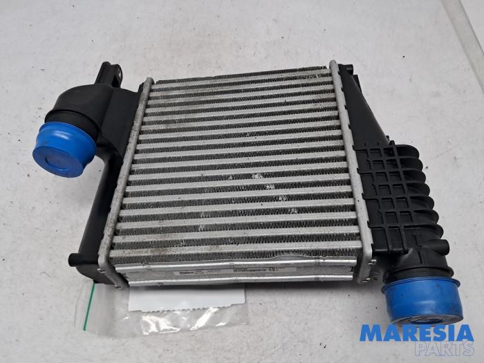 Used Intercooler Peugeot 308 SW (L4/L9/LC/LJ/LR) 1.6 BlueHDi 120 Price € 49,95 Margin scheme offered by Maresia Parts