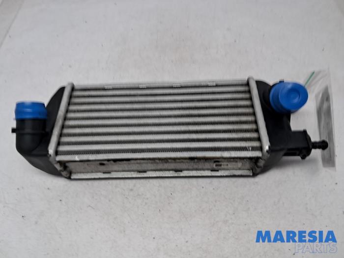 Usados Intercooler Fiat Panda (312) 0.9 TwinAir Turbo 85 Precio € 44,99 Norma de margen ofrecido por Maresia Parts