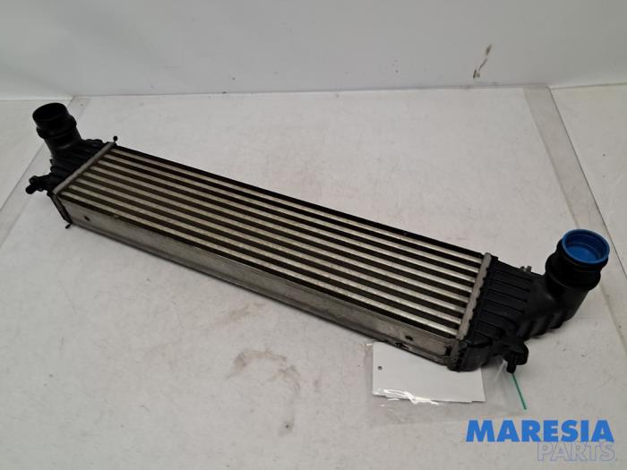 Used Intercooler Fiat 500L (199) 1.4 Turbo 16V Price € 50,00 Margin scheme offered by Maresia Parts