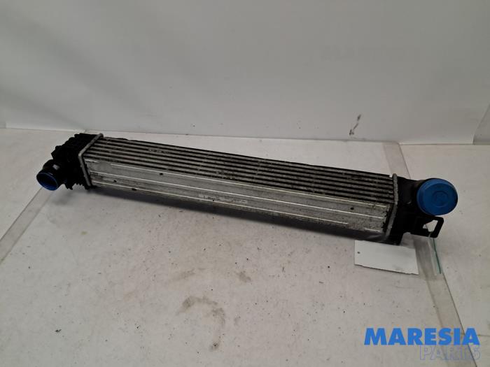 Usagé Intercooler Renault Megane III Grandtour (KZ) 1.5 dCi 110 Prix € 30,00 Règlement à la marge proposé par Maresia Parts