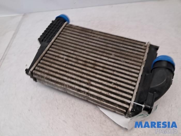 Usados Intercooler Citroen Jumpy 2.0 Blue HDI 180 Precio € 90,74 IVA incluido ofrecido por Maresia Parts