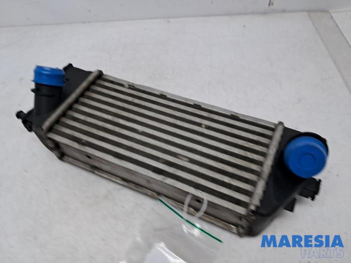 Usagé Intercooler Fiat Panda (312) 0.9 TwinAir Turbo 85 Prix € 44,99 Règlement à la marge proposé par Maresia Parts