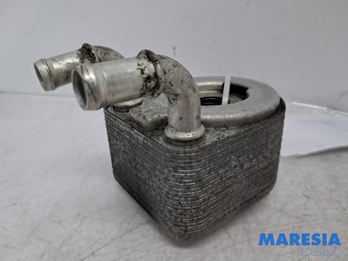Gebrauchte Ölkühler Renault Grand Scénic III (JZ) 1.4 16V TCe 130 Preis € 59,99 Margenregelung angeboten von Maresia Parts