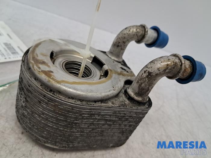Gebrauchte Ölkühler Renault Grand Scénic III (JZ) 1.4 16V TCe 130 Preis € 59,99 Margenregelung angeboten von Maresia Parts