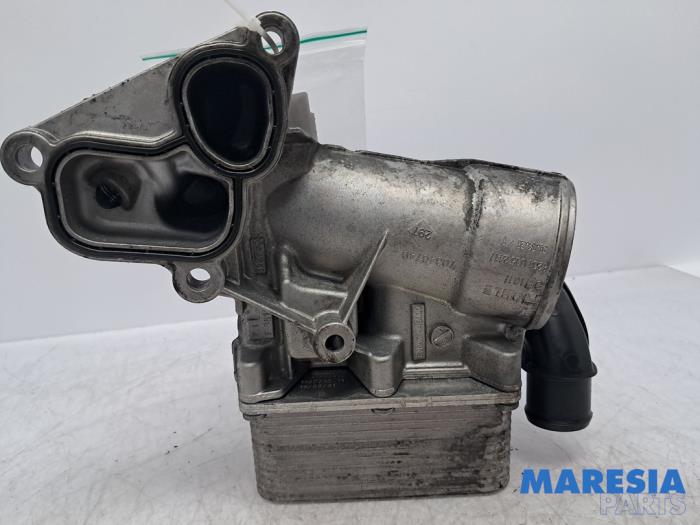 Gebrauchte Ölfiltergehäuse Renault Master III (MA/MB/MC/MD/MH/MF/MG/MH) 2.3 dCi 135 16V FWD Preis € 60,50 Mit Mehrwertsteuer angeboten von Maresia Parts