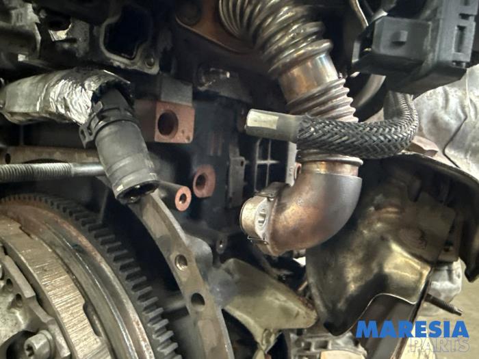 Engine from a Opel Movano 2.3 CDTi 16V FWD 2020