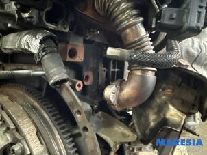 Engine from a Opel Movano 2.3 CDTi 16V FWD 2020
