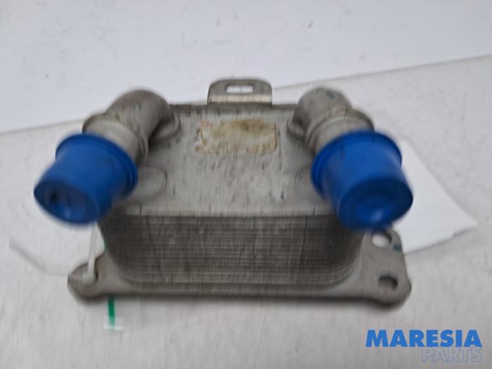 Gebrauchte Ölkühler Renault Scénic IV (RFAJ) 1.3 TCE 140 16V Preis € 49,95 Margenregelung angeboten von Maresia Parts