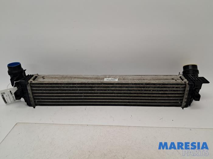 Usagé Intercooler Renault Grand Scénic III (JZ) 1.6 dCi Prix € 70,00 Règlement à la marge proposé par Maresia Parts