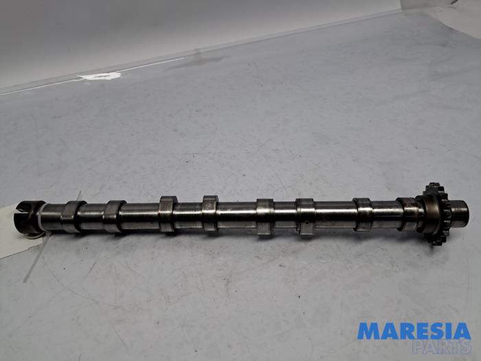 Usagé Arbre à cames Opel Vivaro 2.0 CDTI 122 Prix € 151,25 Prix TTC proposé par Maresia Parts