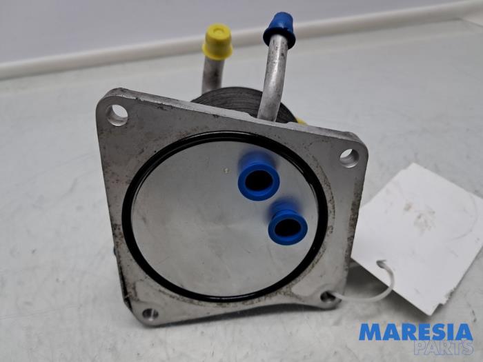 Gebrauchte Ölkühler Renault Grand Scénic III (JZ) 2.0 16V CVT Preis € 150,00 Margenregelung angeboten von Maresia Parts