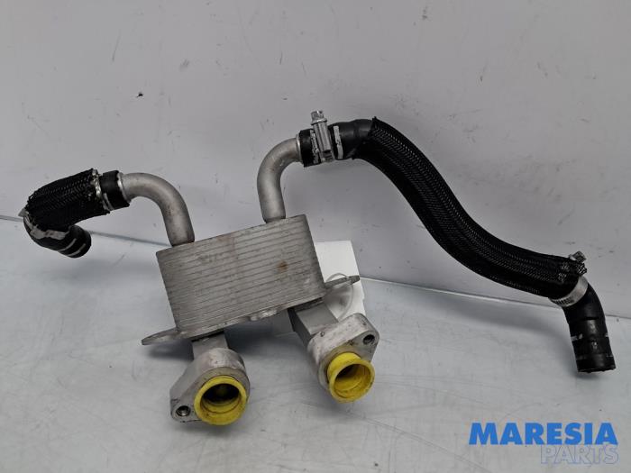 Gebrauchte Ölkühler Alfa Romeo Giulia (952) 2.9 Bi-Turbo V6 24V Quadrifoglio Verde Preis € 150,00 Margenregelung angeboten von Maresia Parts
