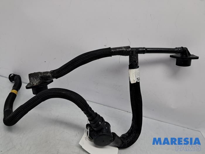 Begagnade Kolfilter Alfa Romeo Giulia (952) 2.9 Bi-Turbo V6 24V Quadrifoglio Verde Pris € 150,00 Marginaltabell erbjuds av Maresia Parts