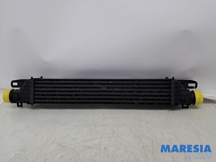 Usagé Intercooler Alfa Romeo Giulietta (940) 1.4 TB 16V Prix € 50,00 Règlement à la marge proposé par Maresia Parts