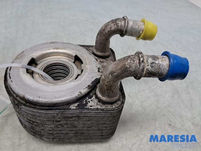 Gebrauchte Ölkühler Renault Megane III Grandtour (KZ) 1.4 16V TCe 130 Preis € 59,99 Margenregelung angeboten von Maresia Parts