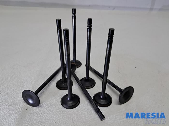 Gebrauchte Einlassventil Renault Megane III Grandtour (KZ) 1.2 16V TCE 115 Preis € 32,50 Margenregelung angeboten von Maresia Parts