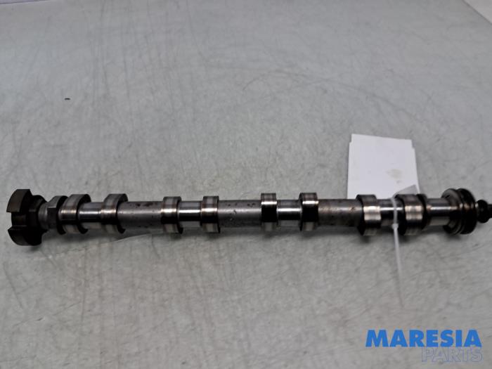 Usagé Arbre à cames Peugeot 3008 I (0U/HU) 1.6 VTI 16V Prix € 99,00 Règlement à la marge proposé par Maresia Parts