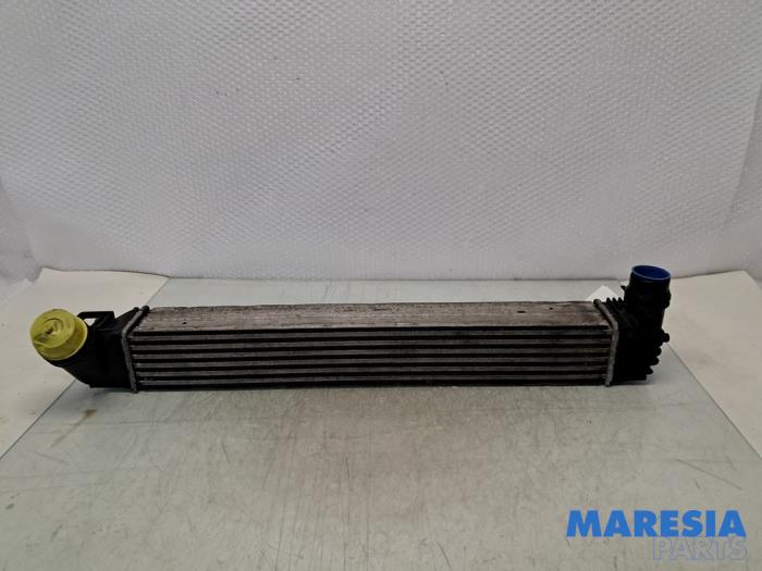 Usagé Intercooler Renault Scénic III (JZ) 1.5 dCi 110 Prix € 45,00 Règlement à la marge proposé par Maresia Parts