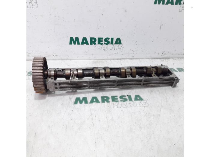 Gebrauchte Nockenwelle Peugeot 406 (8B) 1.8 16V Preis € 50,00 Margenregelung angeboten von Maresia Parts