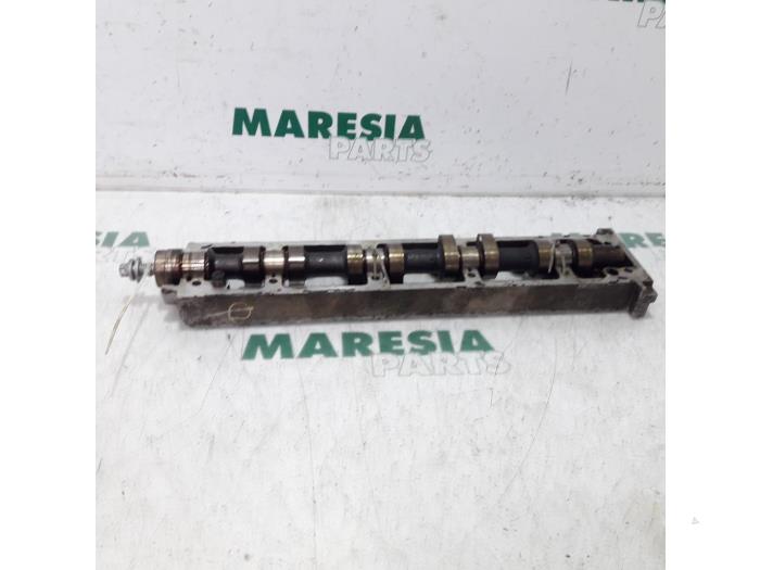 Gebrauchte Nockenwelle Peugeot 406 (8B) 1.8 16V Preis € 50,00 Margenregelung angeboten von Maresia Parts