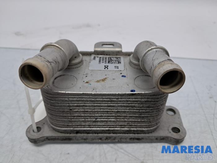 Gebrauchte Ölkühler Renault Scénic IV (RFAJ) 1.3 TCE 140 16V Preis € 49,95 Margenregelung angeboten von Maresia Parts
