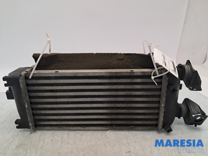 Usados Intercooler Fiat Panda (312) 0.9 TwinAir Turbo 80 Precio € 50,00 Norma de margen ofrecido por Maresia Parts
