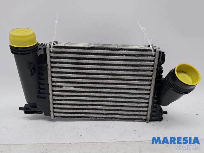 Usagé Intercooler Renault Espace (RFCJ) 1.6 Tce 200 Prix € 74,99 Règlement à la marge proposé par Maresia Parts