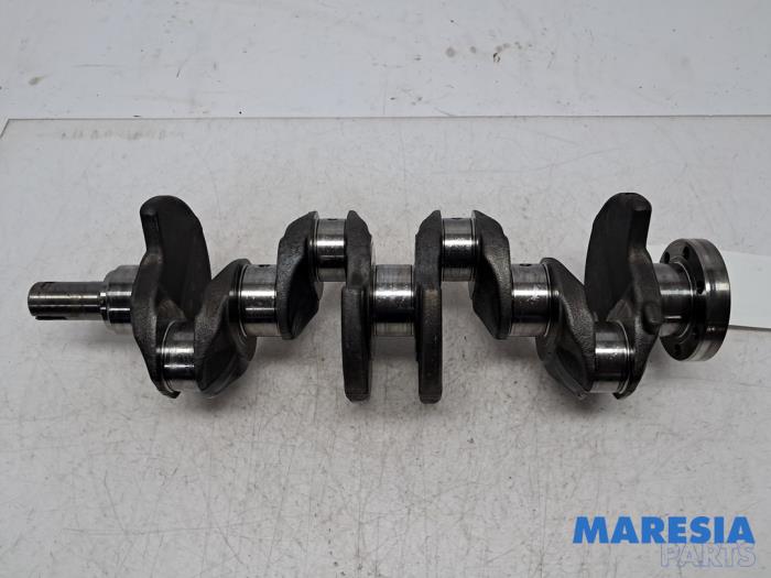 Usagé Vilebrequin Renault Kangoo Express (FW) 1.5 dCi 110 Prix € 181,50 Prix TTC proposé par Maresia Parts
