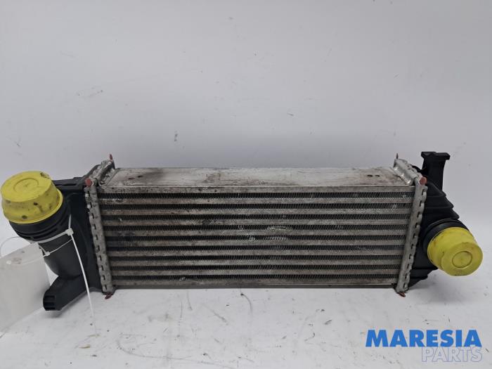 Usagé Intercooler Renault Kangoo Express (FW) 1.5 dCi 110 Prix € 72,60 Prix TTC proposé par Maresia Parts