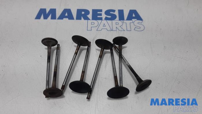 Gebrauchte Einlassventil Renault Scénic III (JZ) 1.4 16V TCe 130 Preis € 25,00 Margenregelung angeboten von Maresia Parts