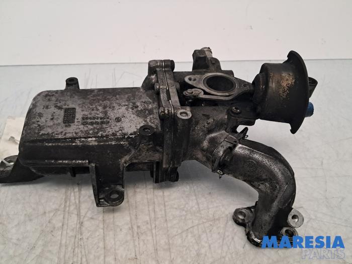 Gebrauchte AGR Ventil Renault Trafic (1FL/2FL/3FL/4FL) 1.6 dCi 125 Twin Turbo Preis € 121,00 Mit Mehrwertsteuer angeboten von Maresia Parts